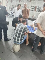 随笔图片